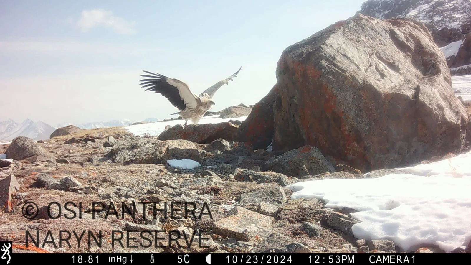 WhatsApp Image 2025-11-27 at 12.22.15 (1).jpeg