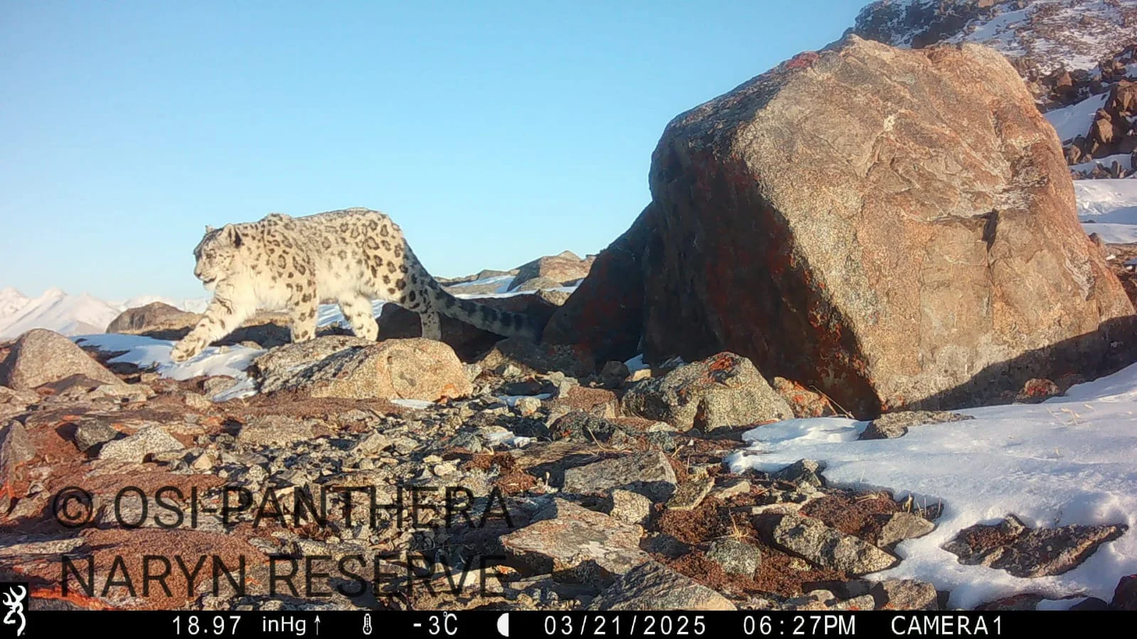 WhatsApp Image 2025-11-27 at 12.22.15 (2).jpeg