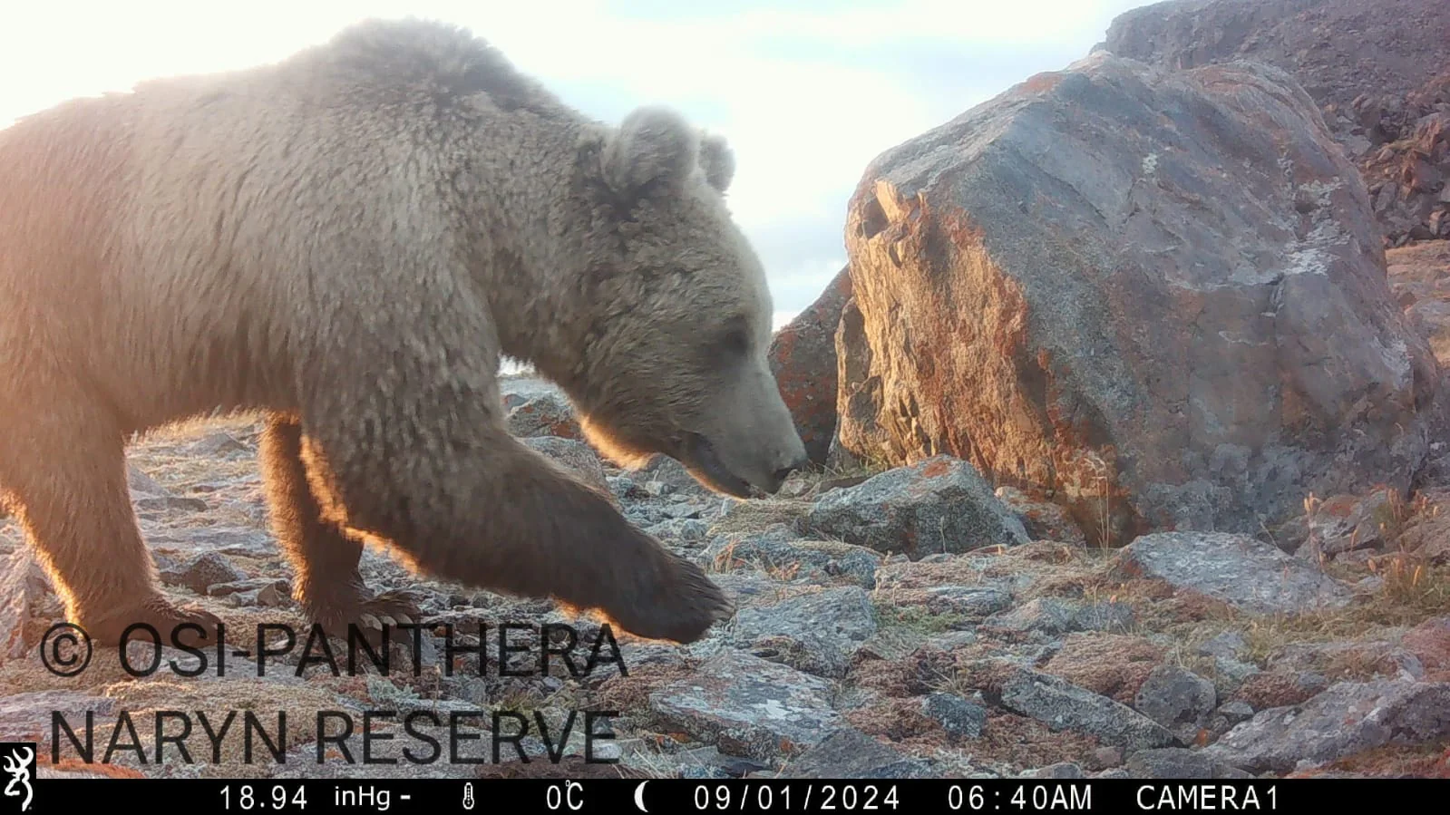 WhatsApp Image 2025-11-27 at 12.22.15.jpeg