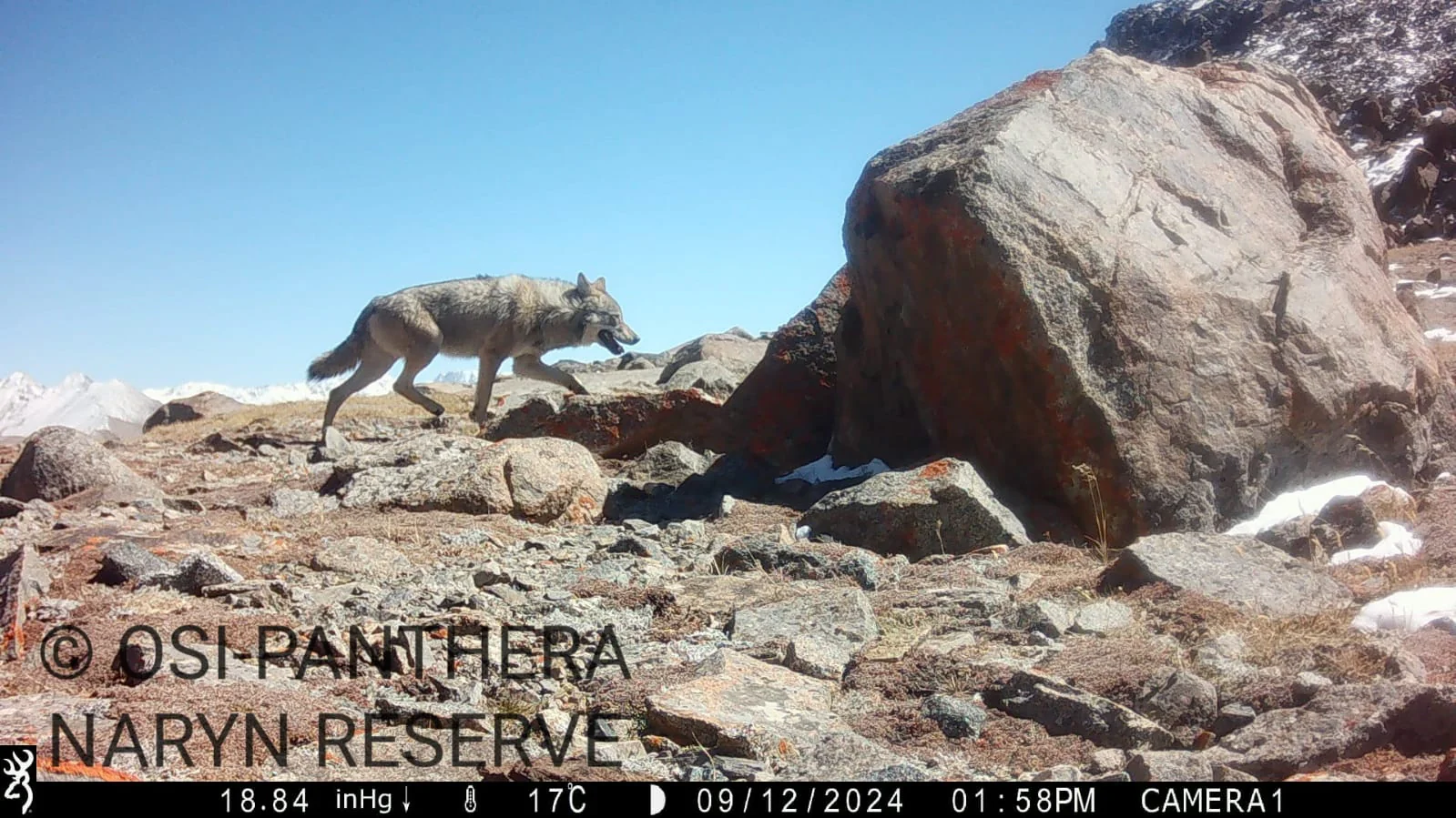 WhatsApp Image 2025-11-27 at 12.22.16 (1).jpeg