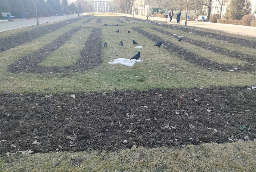 Бишкек, февраль-5.jpg