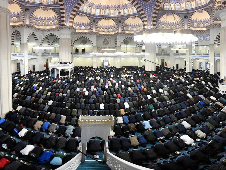 3053c9b7-cded-4be8-971f-3465ebe83177.jfif