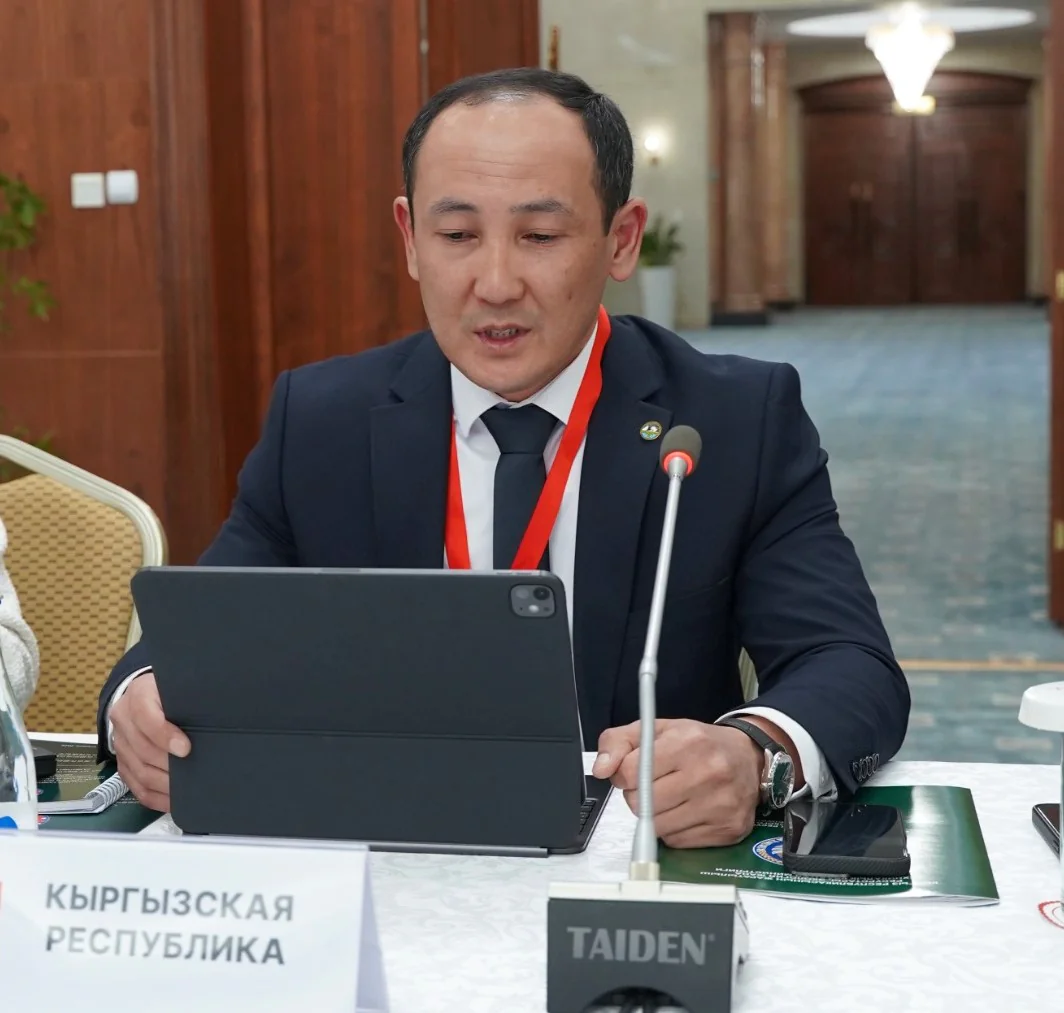 круглый стол