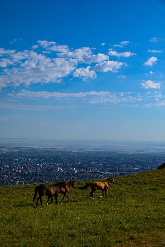 Чон-Арык-5.jpg