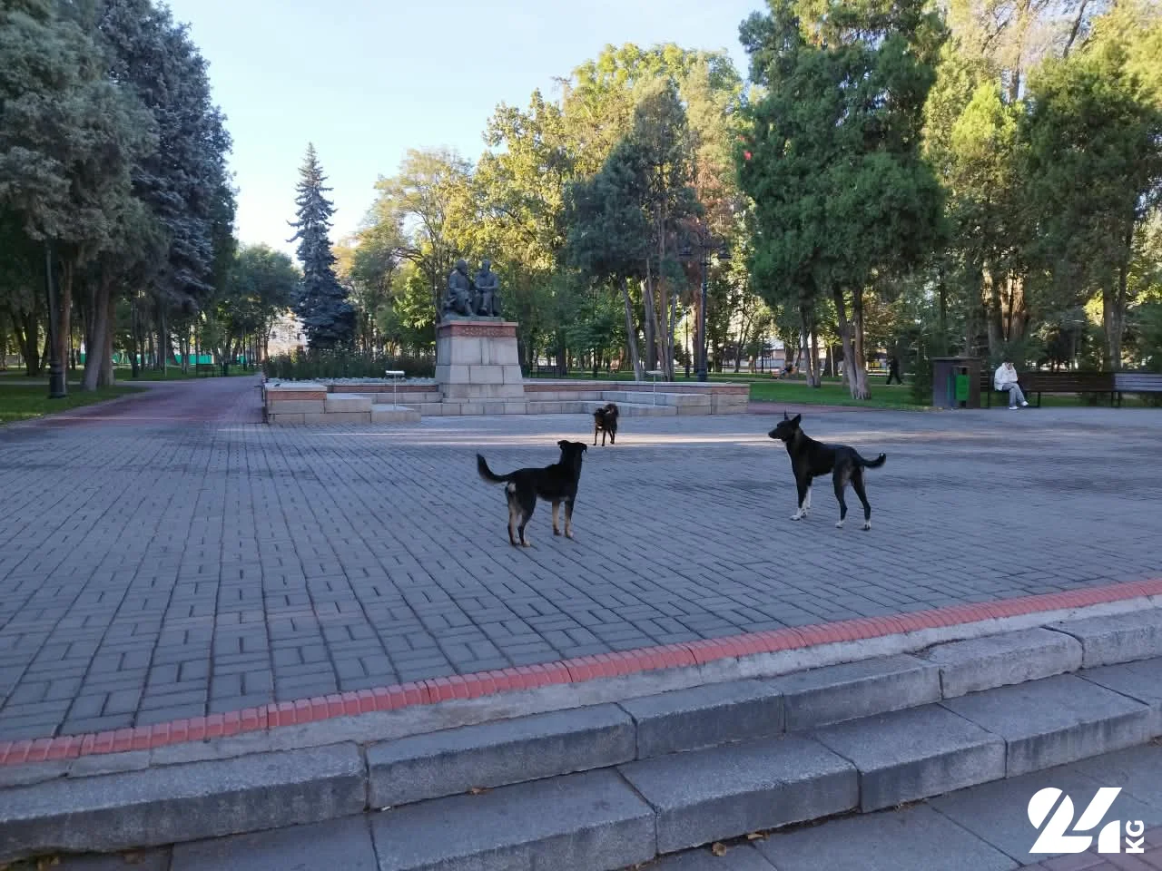дубовый сквер.jpeg