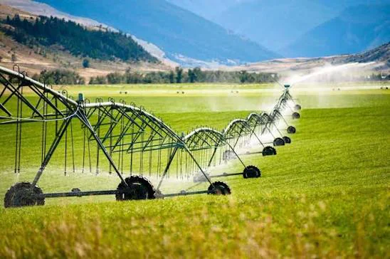 Kyrgyzstan plans to implement National Irrigation Investment Program
