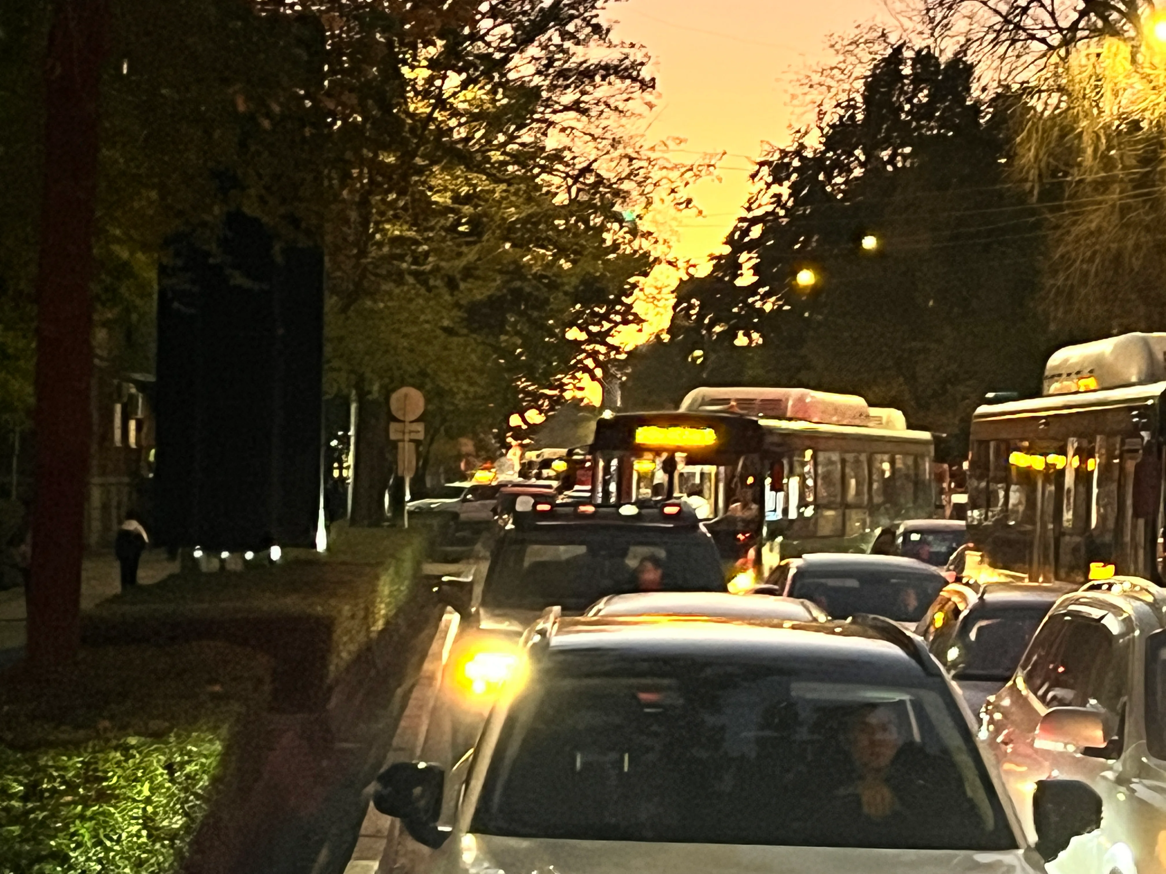 IMG_1850.JPG