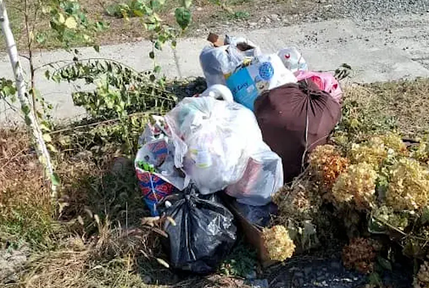 мусор.jpg
