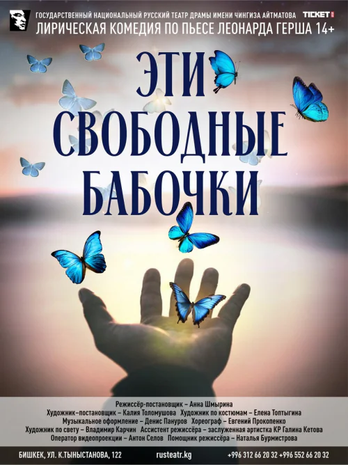 бабочки.jpg
