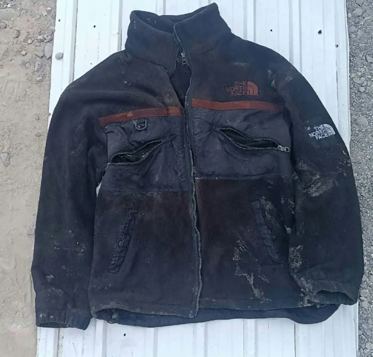 855306636_1427079645511464_3992124609429975142_n.jpg