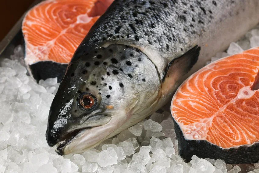Kyrgyzstan’s fish exports rise 2.7-fold in eight months