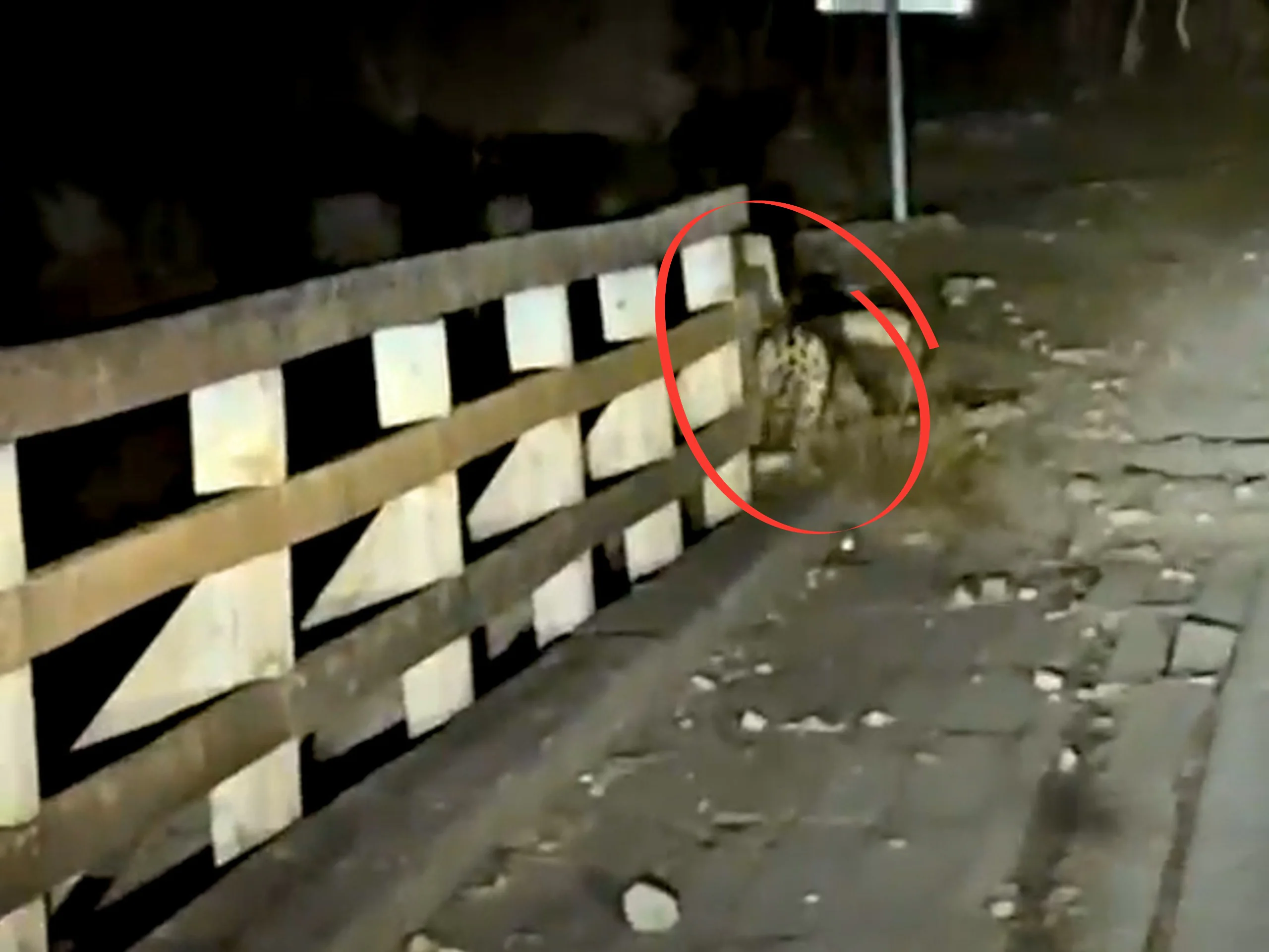 WhatsApp Image 2026-10-27 at 10.16.16.jpeg
