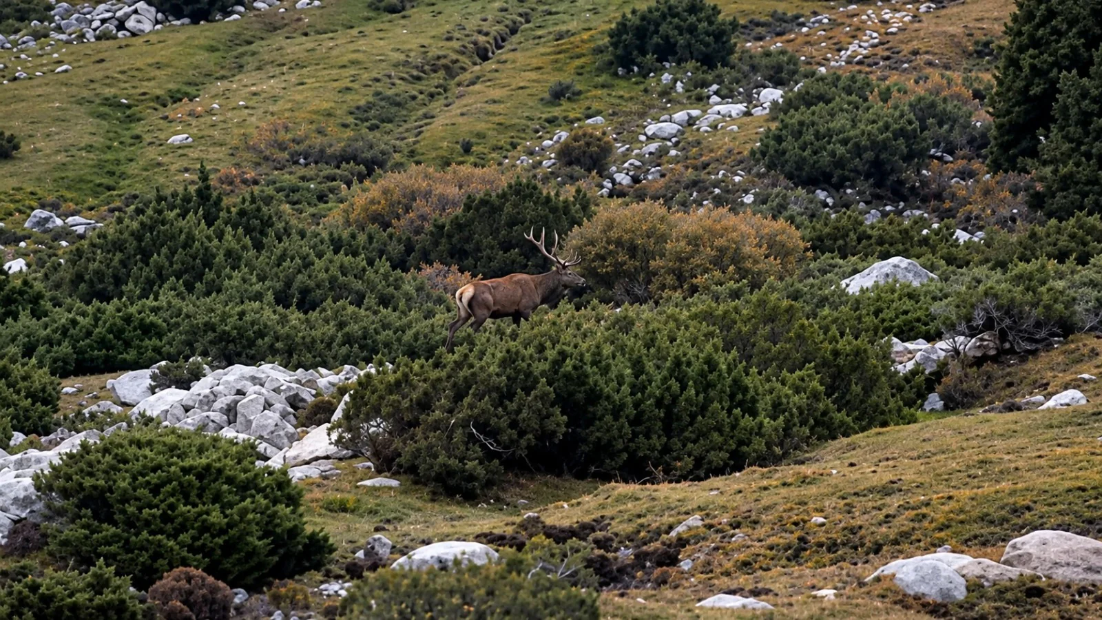 WhatsApp Image 2026-10-27 at 12.20.33.jpeg