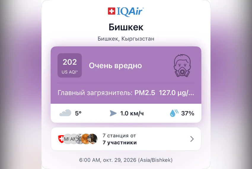Без названия.png
