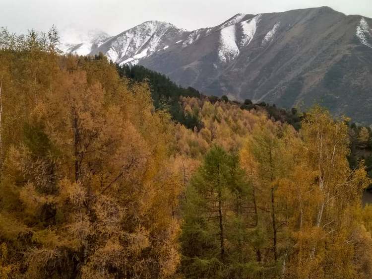 Даврана Гиясова. Природный парк «Ала-Арча»