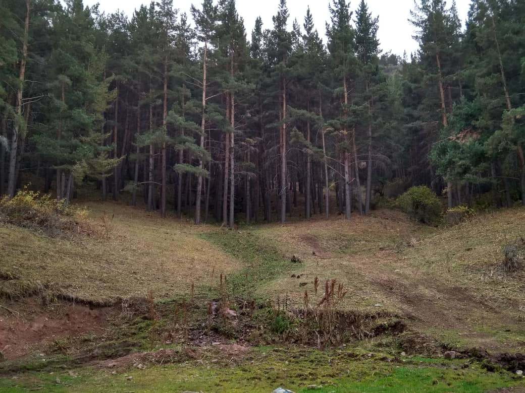Даврана Гиясова. Природный парк «Ала-Арча»