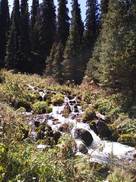 Курманбека Сабырова. Село Кок-Ойрок, Кеминский район