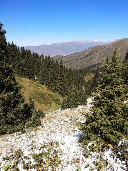Курманбека Сабырова. Село Кок-Ойрок, Кеминский район