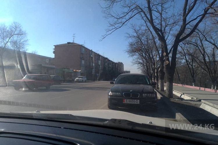 Чудаки парковки