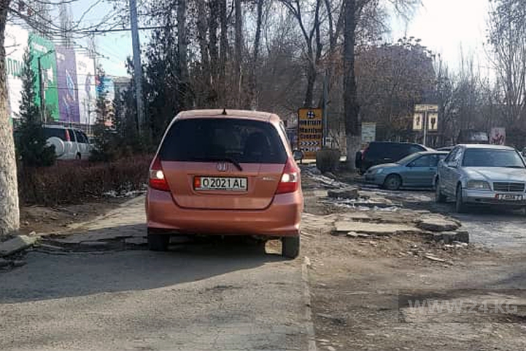 Чудаки парковки