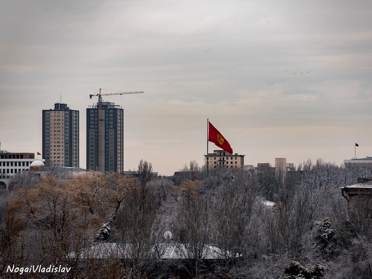 Владислава Ногая. Высотки «Бишкек Парка», февраль 2019 года