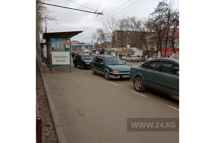 Чудаки парковки