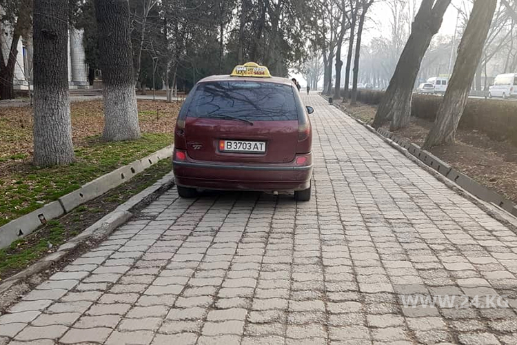 Чудаки парковки