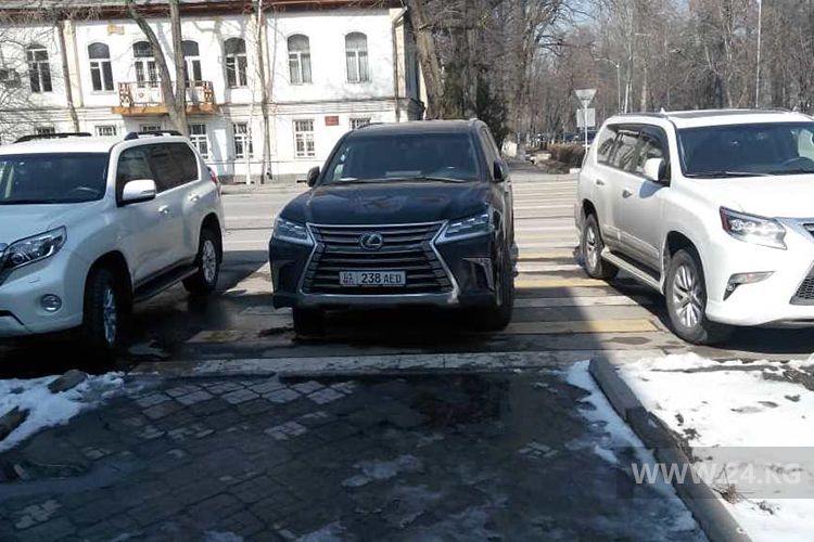 Чудаки парковки