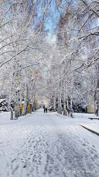 Сони Айдарбаевой. Февральское село Бостери