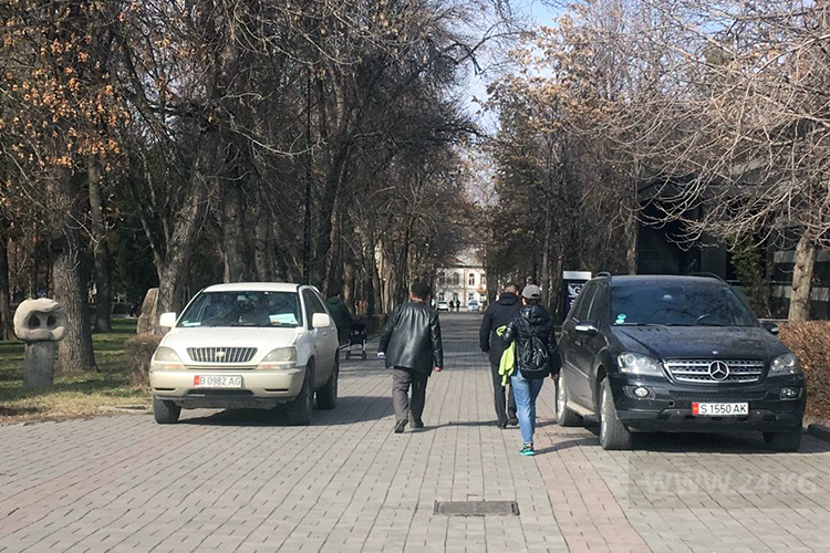 Чудаки парковки