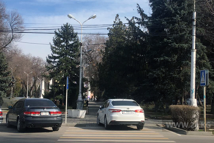 Чудаки парковки