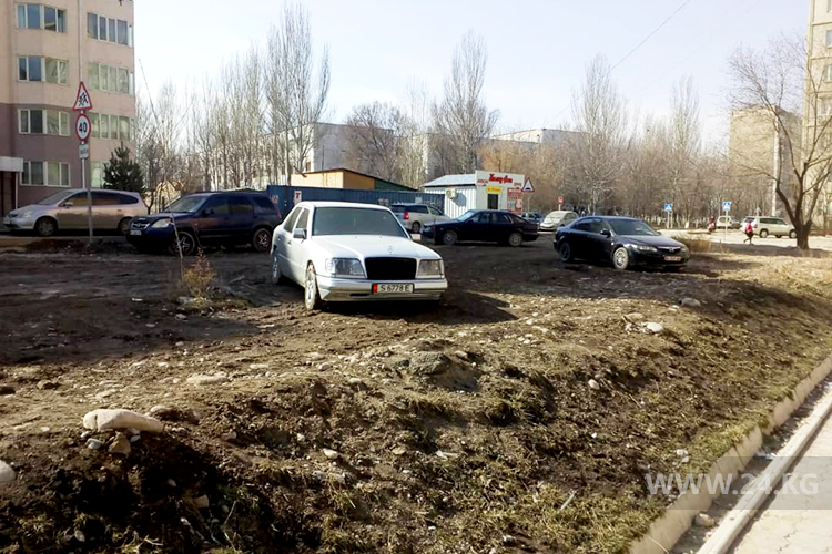Чудаки парковки
