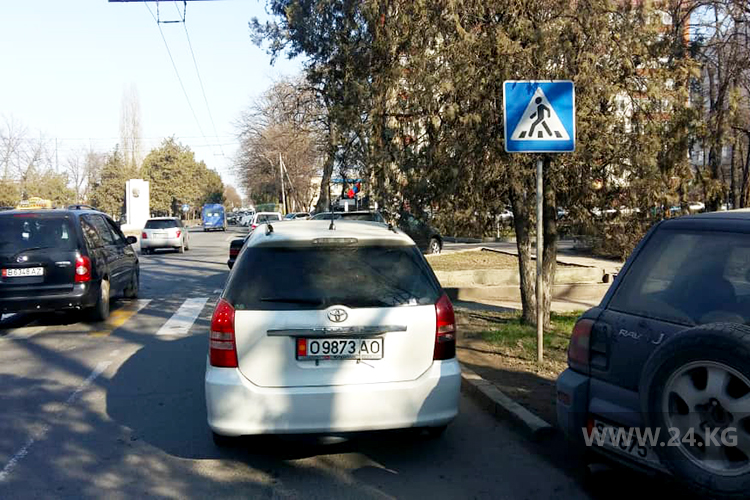 Чудаки парковки