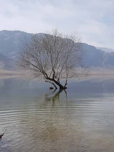 Урмата Чырмашева. Водохранилище Торт-Куль, Баткенская область
