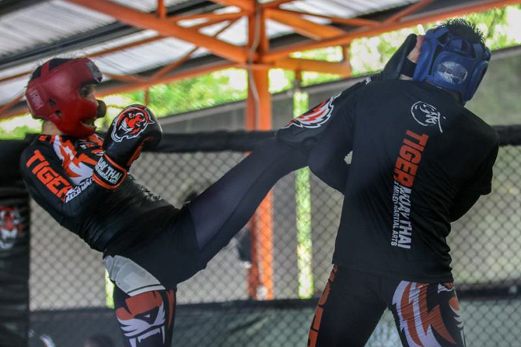 Антонина Шевченко (слева) готовится к новому бою в UFC