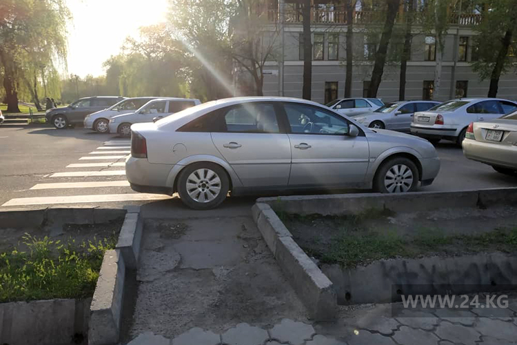 Чудаки парковки