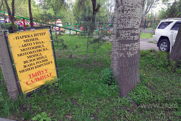 читателя. Чудаки парковки