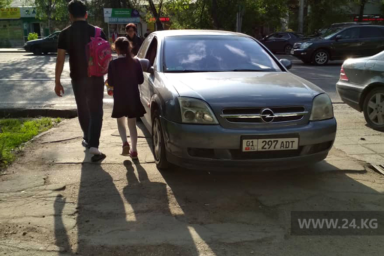 Чудаки парковки