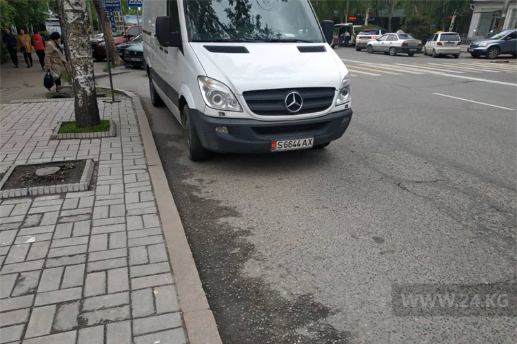 читателя. Чудаки парковки