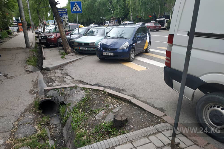 читателя. Чудаки парковки