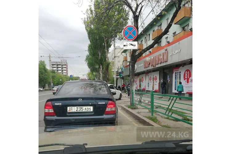 читателя. Чудаки парковки