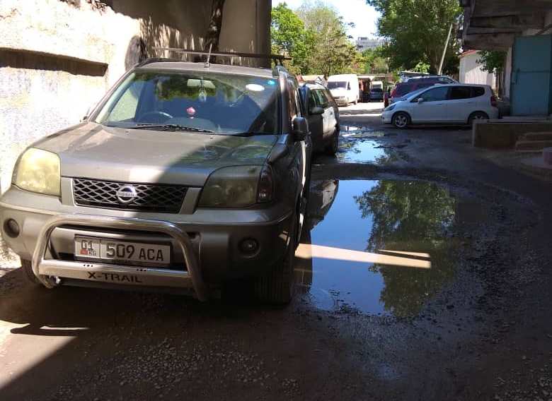 читателя. Чудаки парковки