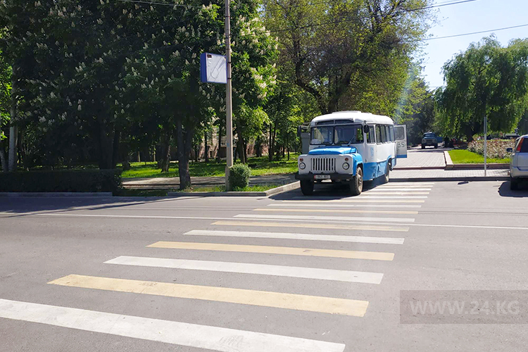 читателя. Чудаки парковки