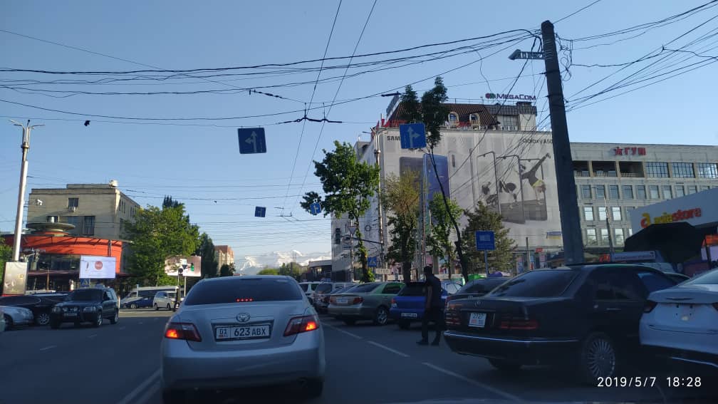 читателя. Чудаки парковки