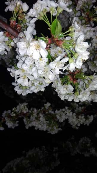Василия Павлова. Иссык-Кульская область