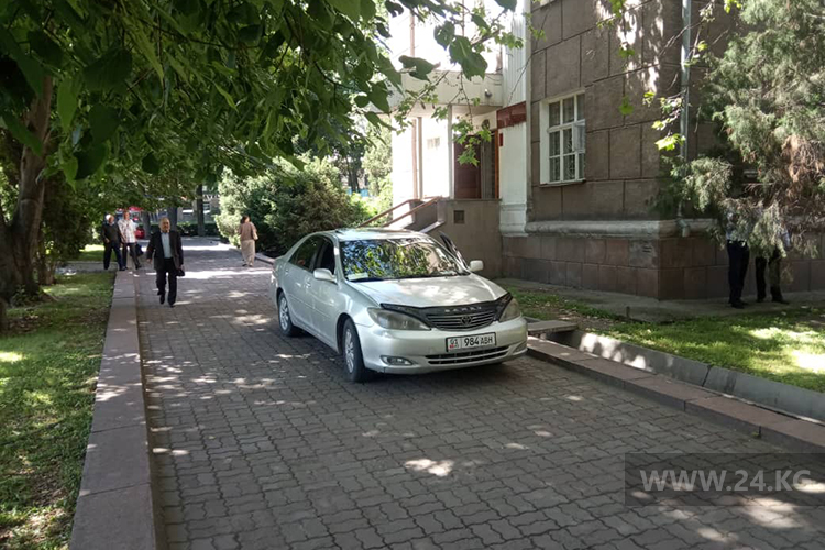 читателя. Чудаки парковки