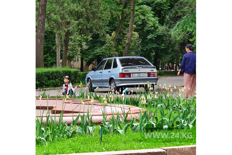 читателя. Чудаки парковки