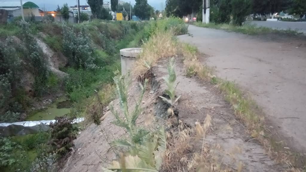читателя. Тротуар в городе Токмаке