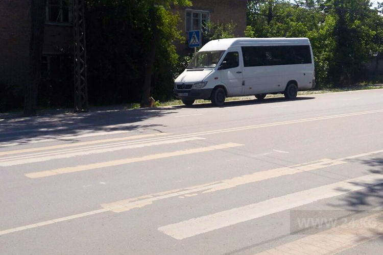 читателя. Чудаки парковки