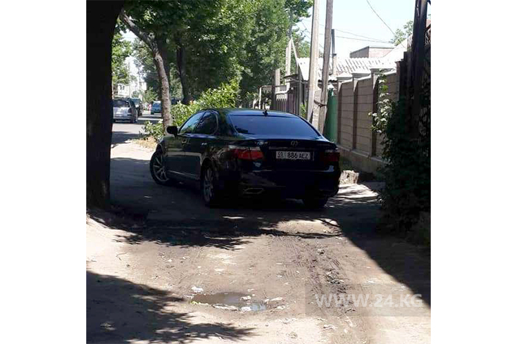 читателя. Чудаки парковки
